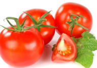 穿书去娱乐圈吃瓜番茄,番茄在娱乐圈的瓜田漫步