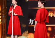 娱乐圈资深吃瓜人小说,揭秘明星背后的秘密与真相