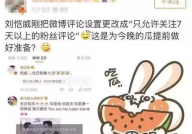 理智吃瓜娱乐,揭秘娱乐圈背后的真实故事