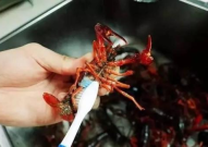 小龙虾怎么清除干净,从源头保障美食卫生与口感