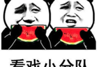 娱乐吃瓜表情图片可爱版,娱乐吃瓜表情可爱版大盘点