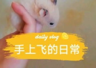 娱乐圈吃瓜背景板是谁,揭秘“吃瓜背景板”背后的故事