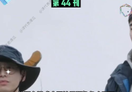 娱乐吃瓜结局视频播放,揭秘幕后真相，明星命运大反转！